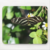 Zebra Longwing Butterfly マウスパッド (正面)