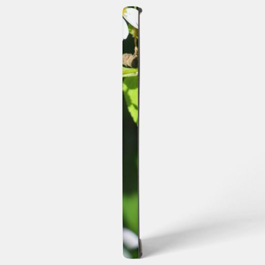 Zebra Longwing Butterfly Samsung Galaxyケース (左側面)