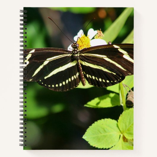 Zebra Longwing Butterfly Spiral Notebook ノートブック (正面)