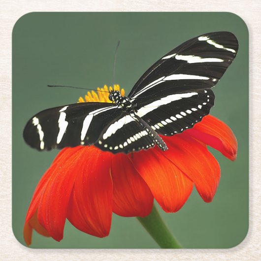 Zebra Longwing on Red Flower スクエアペーパーコースター (正面)