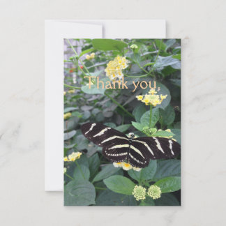 Zebra Longwing Thank You Card サンキューカード