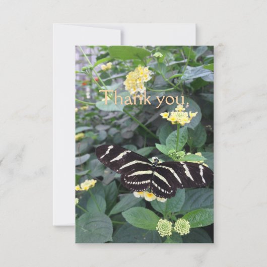 Zebra Longwing Thank You Card サンキューカード (正面)