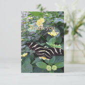 Zebra Longwing Thank You Card サンキューカード (スタンド正面)