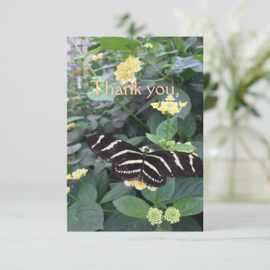 Zebra Longwing Thank You Card サンキューカード (スタンド正面)