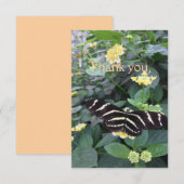 Zebra Longwing Thank You Card サンキューカード (正面/裏面)