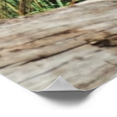 Zebra Mom & Foal 36 x 24 Photo Poster ポスター (角)