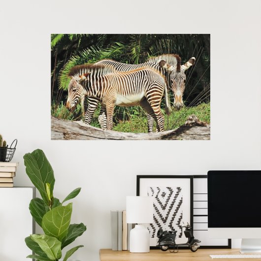 Zebra Mom & Foal 36 x 24 Photo Poster ポスター (ホームオフィス)