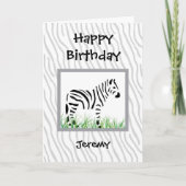 Zebra on white background カード (正面)