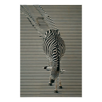 Zebra-Optik Poster | Surrealistische Tierkunst ポスター