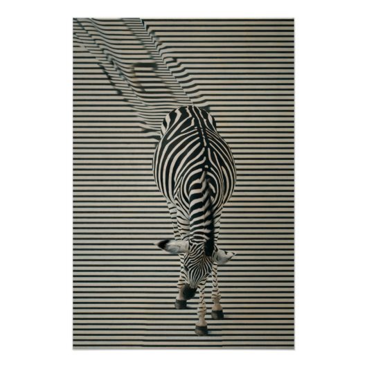Zebra-Optik Poster | Surrealistische Tierkunst ポスター (正面)