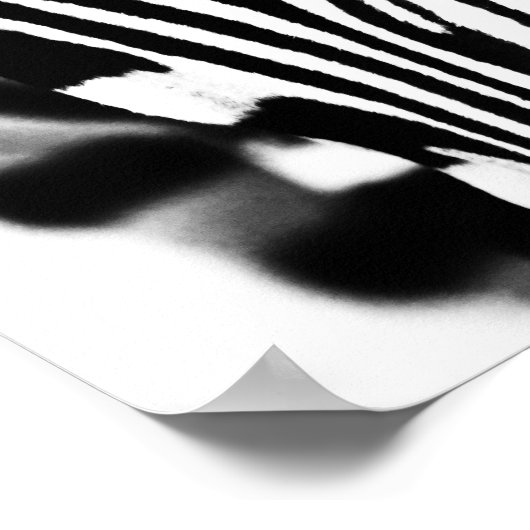 Zebra portrait black and white photo ポスター (角)