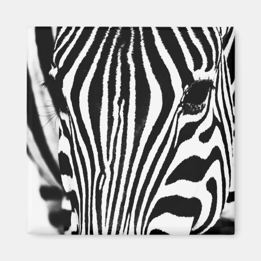 Zebra portrait black and white photo マグネット (正面)