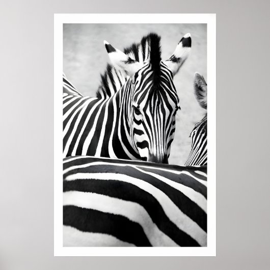 Zebra Portrait Wall Art Graphic Black and White ポスター (正面)