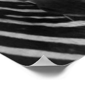 zebra poster FROM 8.99 ポスター (角)