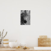 zebra poster FROM 8.99 ポスター (キッチン)