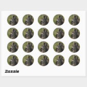 Zebra sticker ラウンドシール (シート)