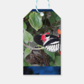 Zebra tail butterfly ギフトタグ (正面)