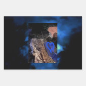 Zebra tail butterfly ラッピングペーパーシート (正面3)