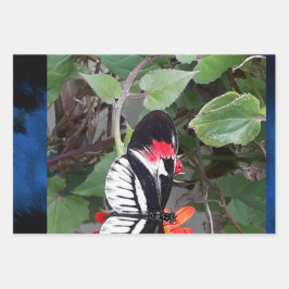 Zebra tail butterfly ラッピングペーパーシート