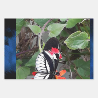 Zebra tail butterfly ラッピングペーパーシート