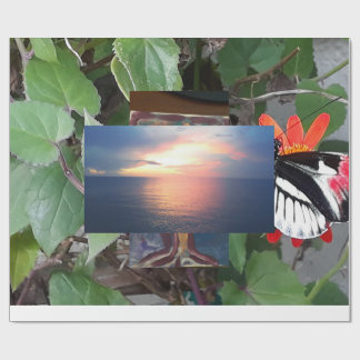 Zebra tail butterfly ラッピングペーパー