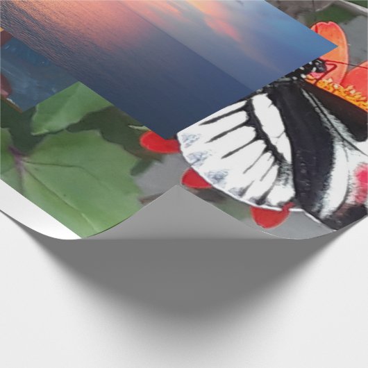Zebra tail butterfly ラッピングペーパー (角)