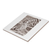 zebra tile タイル (側面)