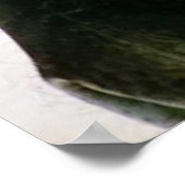 Zebra up close & striped black and white pattern ポスター (角)