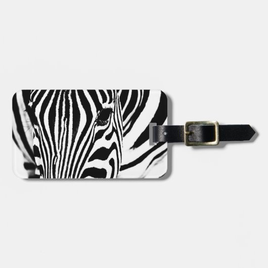 Zebra wildlife photography Africa Safari動物 ラゲッジタグ (正面横)