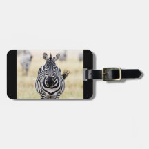 Zebra wildlife photography Africa Safari動物