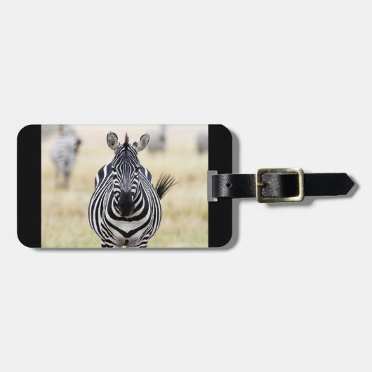 Zebra wildlife photography Africa Safari動物 ラゲッジタグ (正面横)