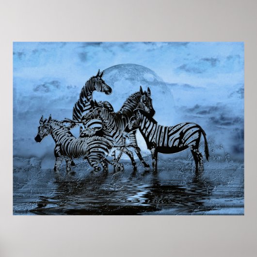 Zebras5ポスター ポスター (正面)