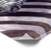 Zebras by Dona Crawshaw ポスター (角)