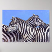Zebras by Dona Crawshaw ポスター (正面)