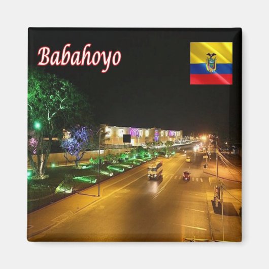zEC022 BABAHOYO at Night,エクアドル,アメリカ,冷蔵庫 マグネット (正面)