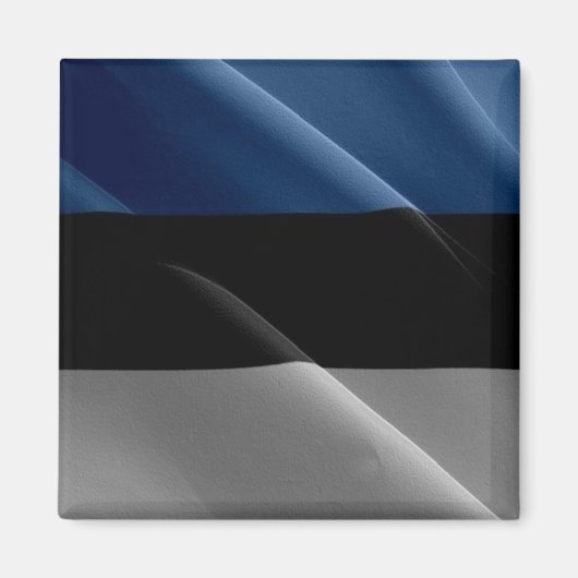 zEE002エストニア国旗エストニア – 冷蔵庫 マグネット (正面)