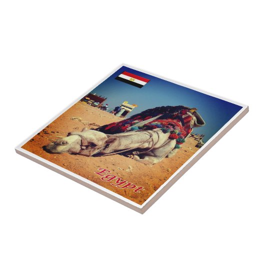 zEG021エジプト、ラクダ、アフリカ、 タイル (側面)