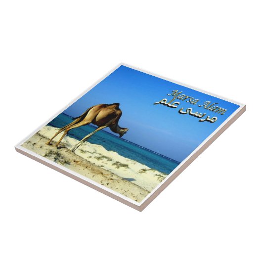 zEG047 MARSA ALAM，紅海，エジプト， タイル (側面)