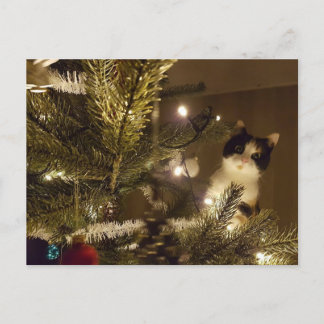 Zelma with the christmas tree シーズンポストカード