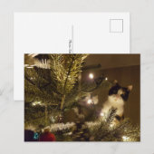 Zelma with the christmas tree シーズンポストカード (正面/裏面)