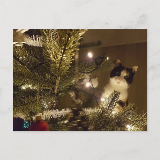 Zelma with the christmas tree シーズンポストカード (正面)