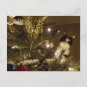 Zelma with the christmas tree ポストカード (正面)