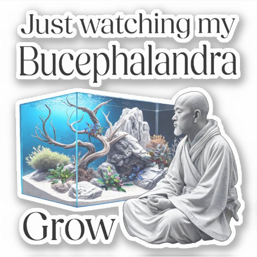 Zen and Bucephalandra – The Art of Aquascaping シール (正面)