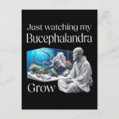 Zen and Bucephalandra – The Art of Aquascaping ポストカード (正面)