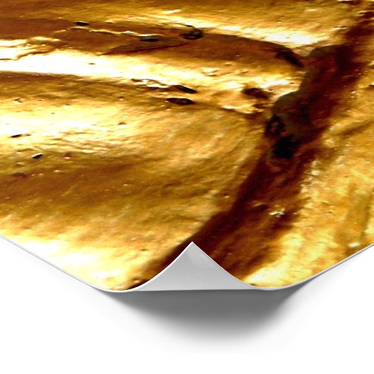 Zen Landscape by Gregory Gallo ポスター (角)