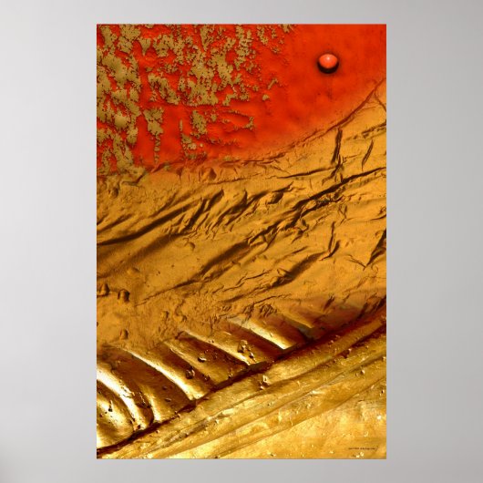 Zen Landscape by Gregory Gallo ポスター (正面)