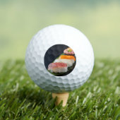 Zen Shot – Minimal Sushi Golf Ball ゴルフボール (インサイチュ 木)