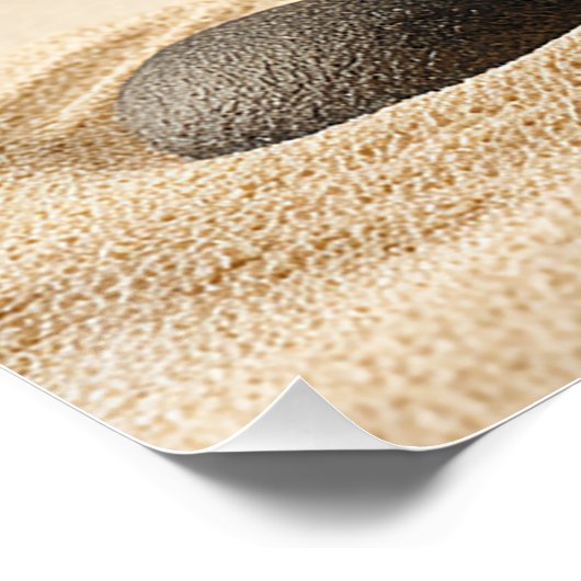 Zen Stone Stack - Minimal Japandi Wall Art Print ポスター (コーナー)