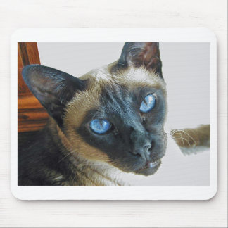 ZenaLrg_7_20_05_edited-1 マウスパッド