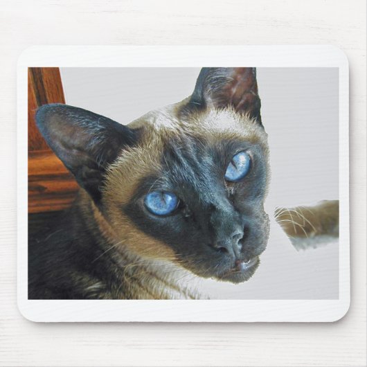 ZenaLrg_7_20_05_edited-1 マウスパッド (正面)